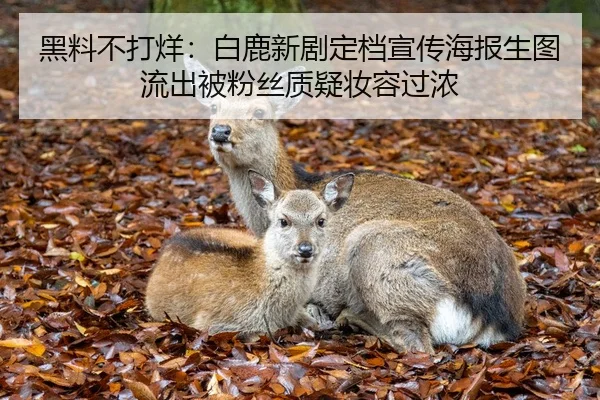 黑料不打烊：白鹿新剧定档宣传海报生图流出被粉丝质疑妆容过浓